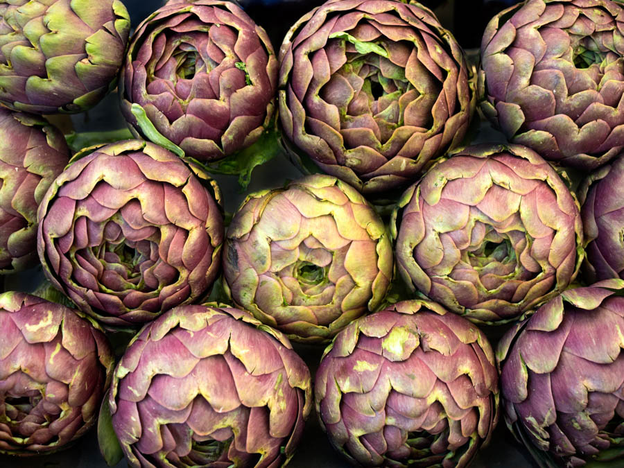 Getting Started With Artichokes