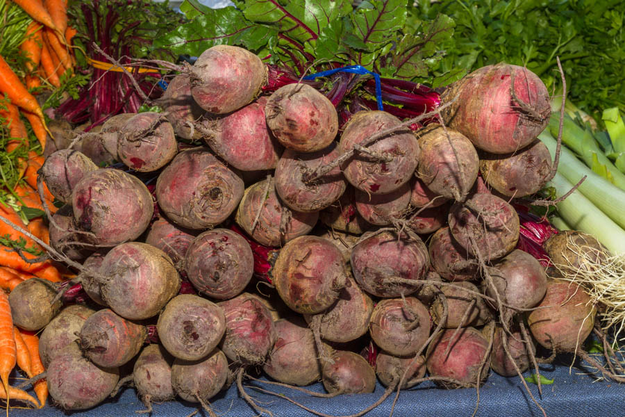 Beet Varieties for Mediterranean Climates